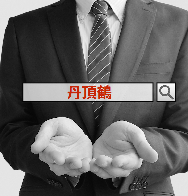 丹頂鶴のSE0/インターネットコンサルティング SEOコンサルタントのREAP(神奈川)