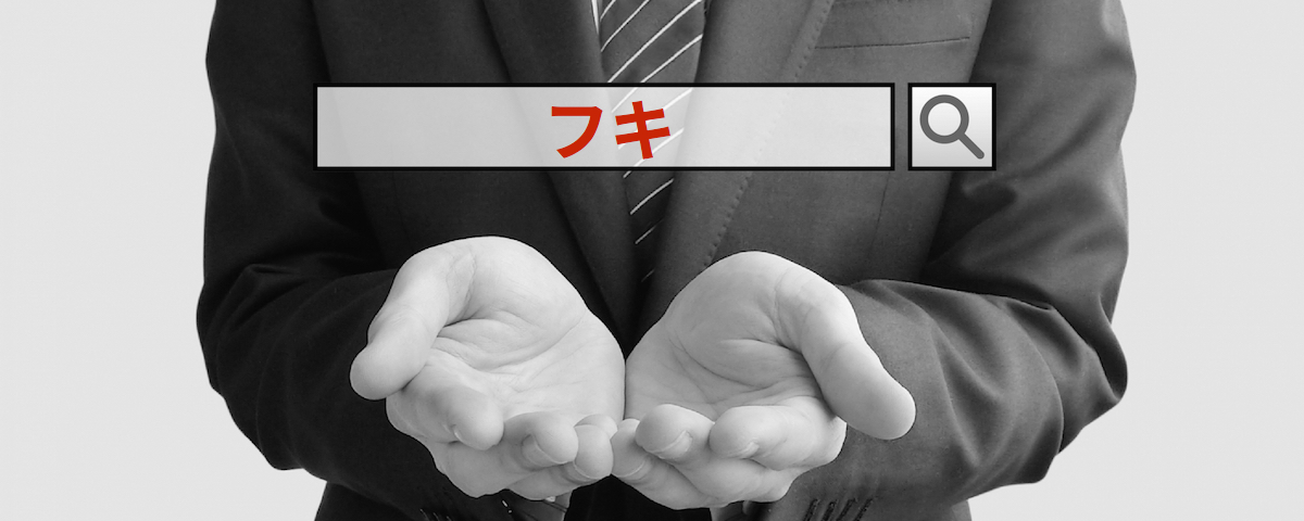 フキのSE0/インターネットコンサルティング SEOコンサルタントのREAP(神奈川)