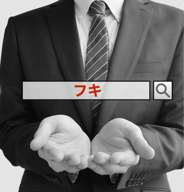 フキのSE0/インターネットコンサルティング SEOコンサルタントのREAP(神奈川)