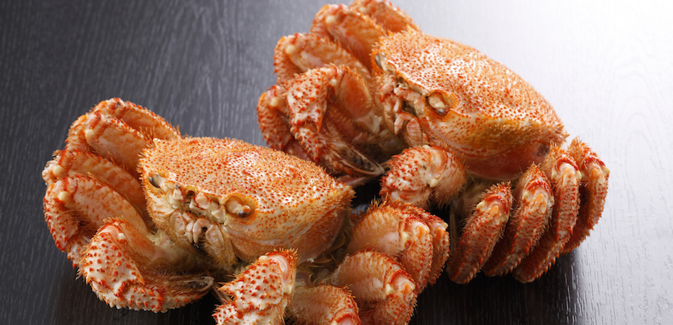 お部屋/釧路の日本料理・ミシュラン認定釧路の隠れ家 紀伸