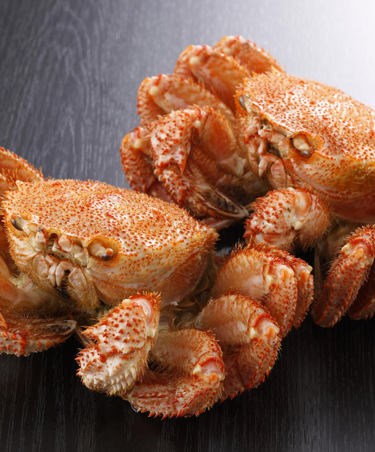 お部屋/釧路の日本料理・ミシュラン認定釧路の隠れ家 紀伸